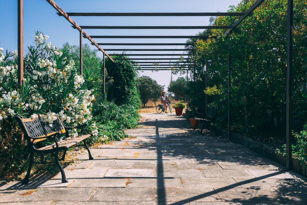Gasthaus Monte Do Colmeal - Country House & Wine Mourão Exterior foto